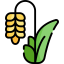 Nutrivox