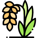 Nutrivox